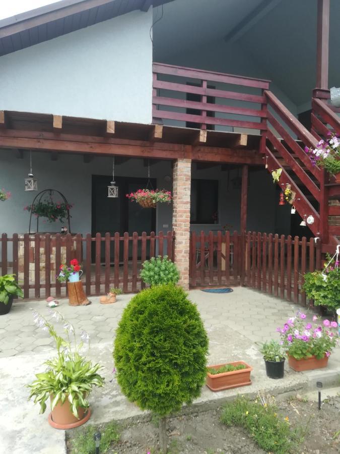 Casa Ricciotti Tritenii de Jos Exterior photo