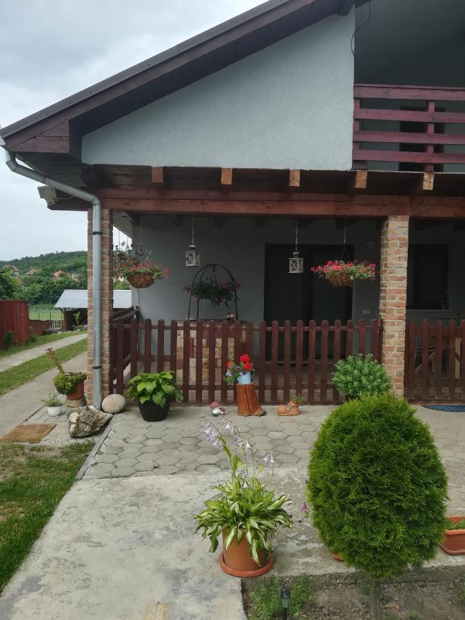 Casa Ricciotti Tritenii de Jos Exterior photo